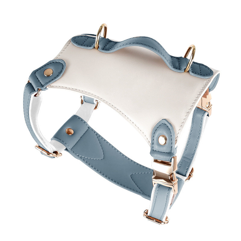 Caesar Series Premium Leather Dog Adventure Collection