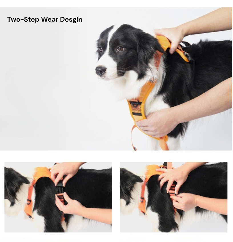Turtle Love All-in-one Dog Harness