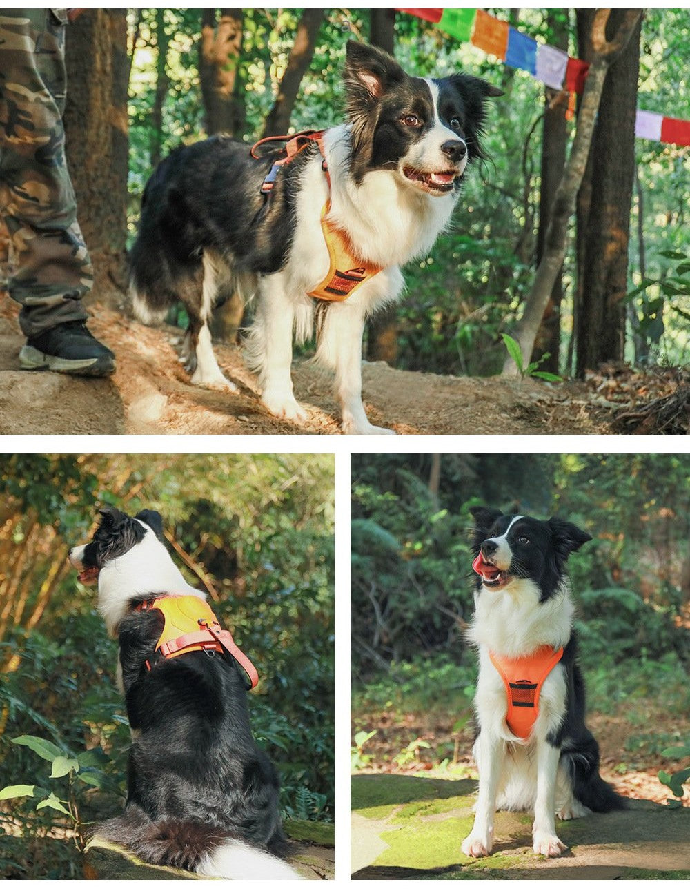 Turtle Love All-in-one Dog Harness