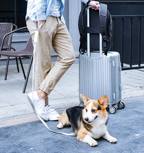 Ouroboros Self-lock Leash