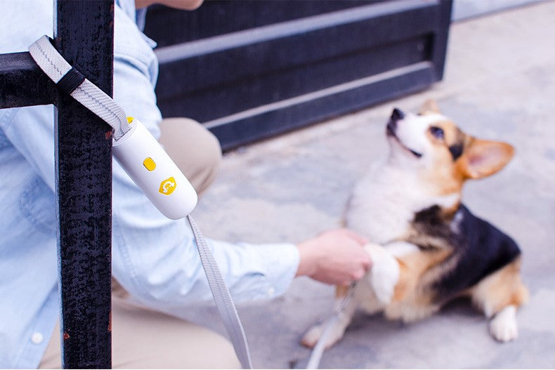 Ouroboros Self-lock Leash