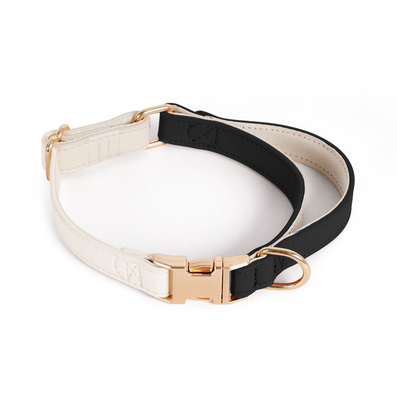 Caesar Series Premium Leather Dog Adventure Collection