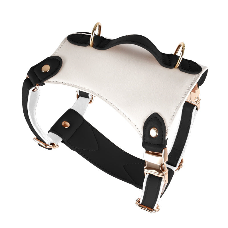 Caesar Series Premium Leather Dog Adventure Collection