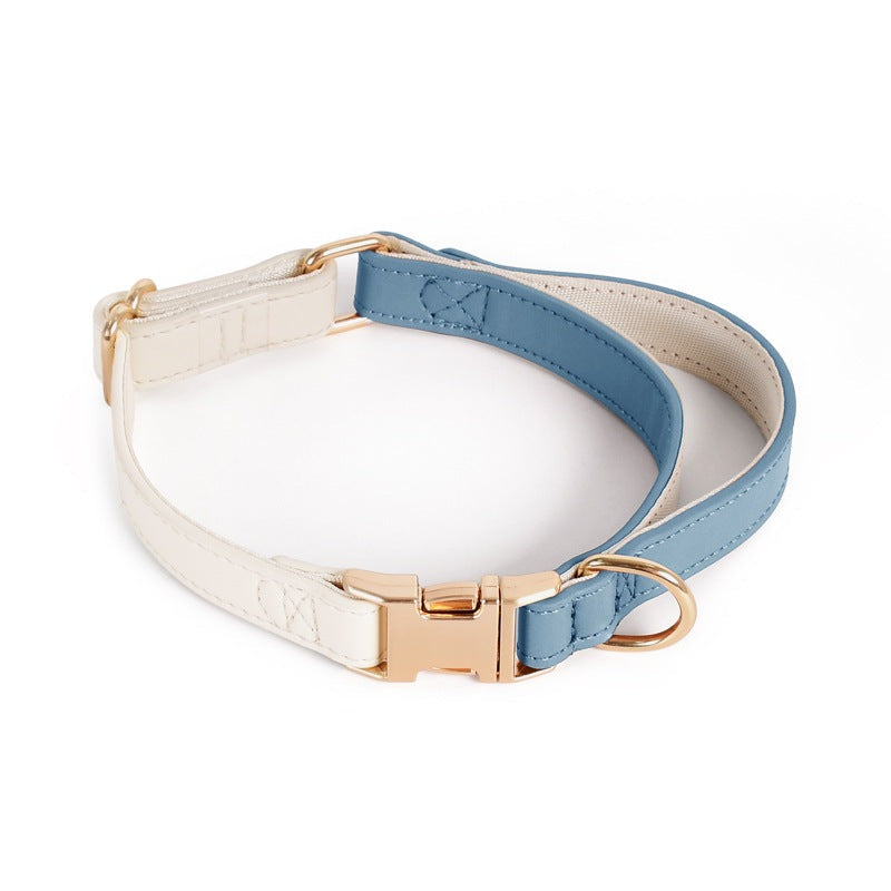 Caesar Series Premium Leather Dog Adventure Collection