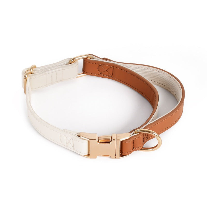 Caesar Series Premium Leather Dog Adventure Collection