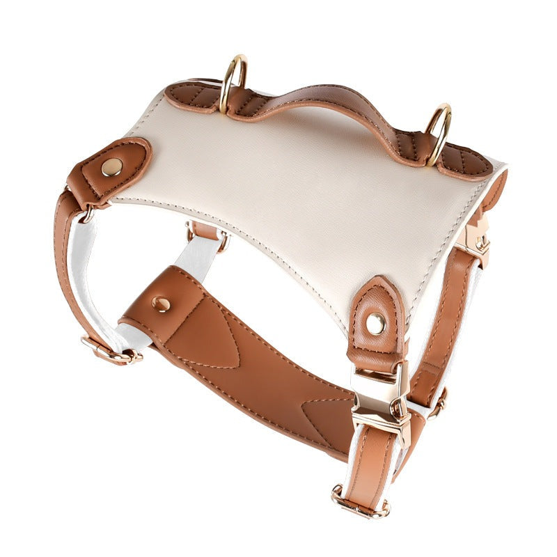 Caesar Series Premium Leather Dog Adventure Collection