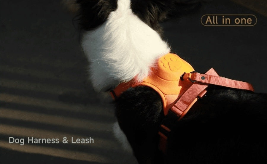 Turtle Love All-in-one Dog Harness