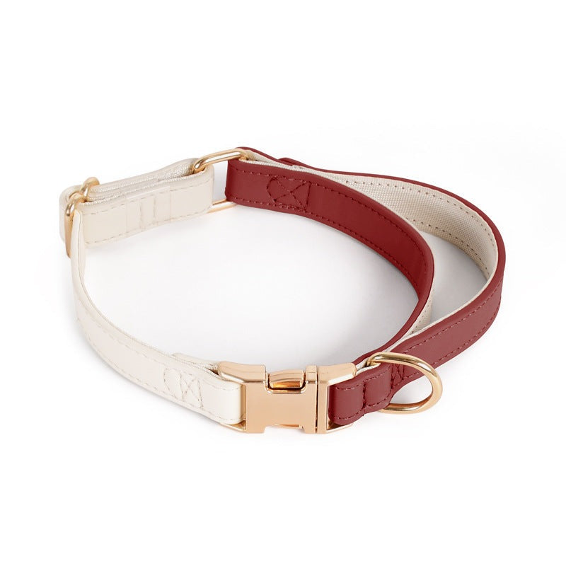 Caesar Series Premium Leather Dog Adventure Collection