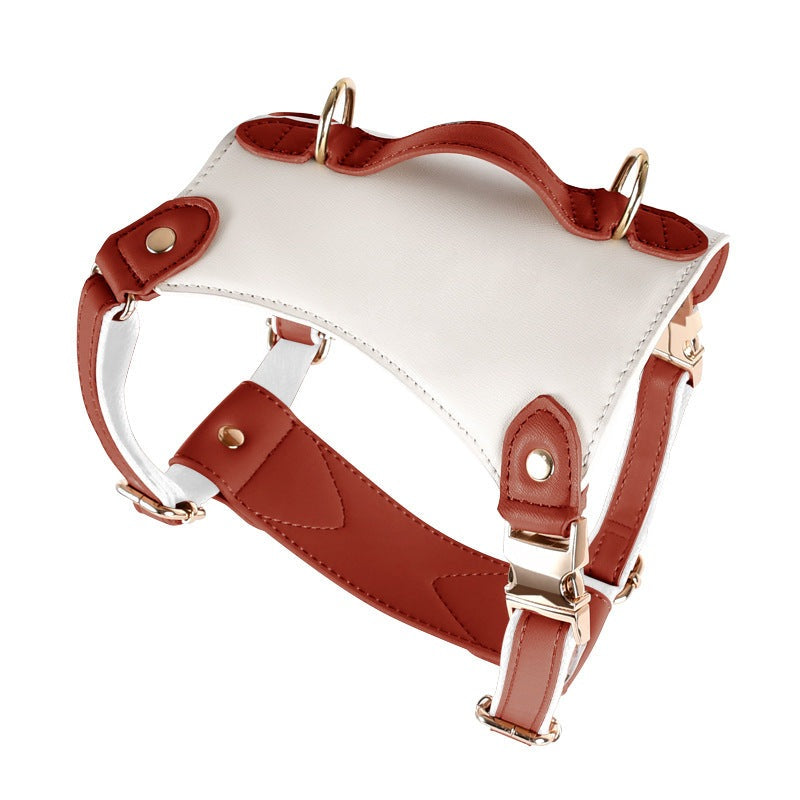 Caesar Series Premium Leather Dog Adventure Collection