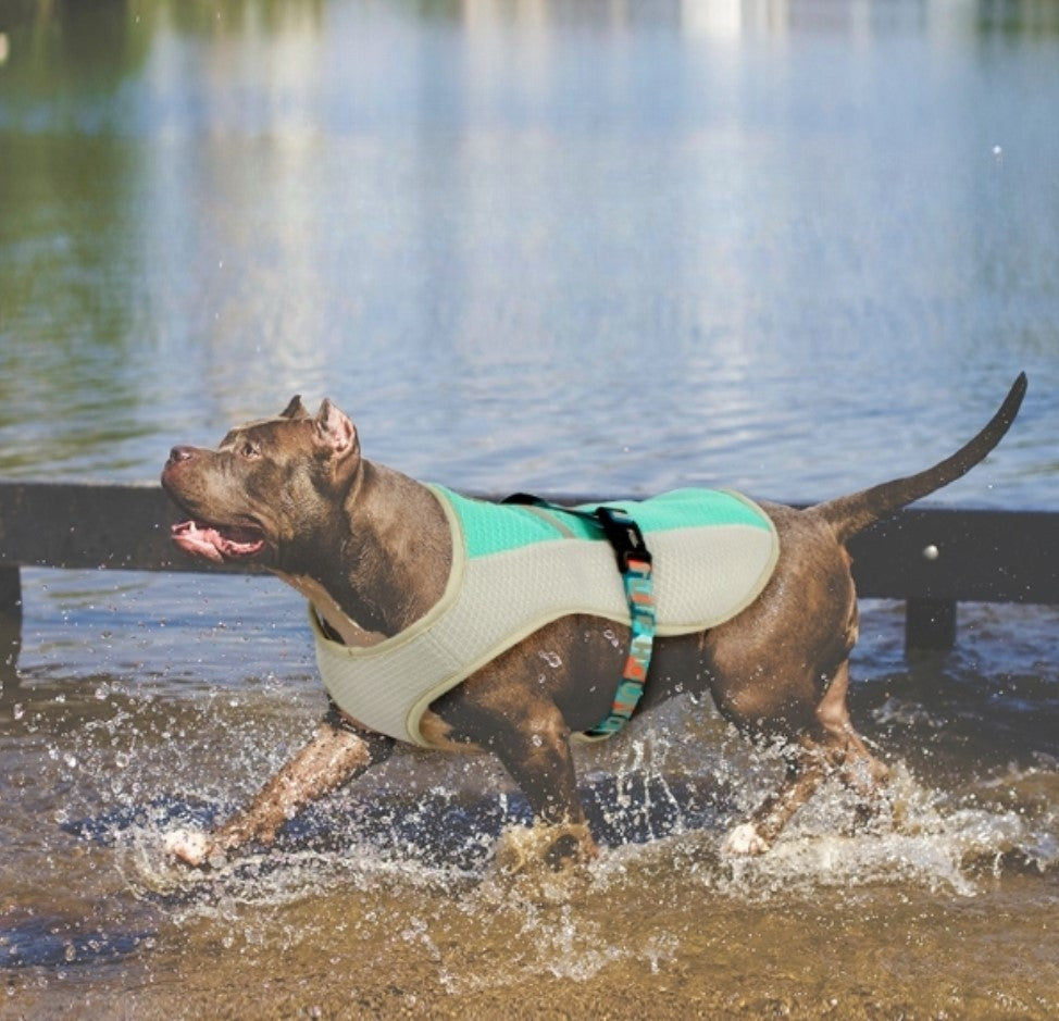 Tuff dog outlet harness