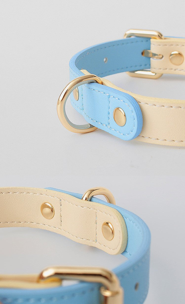 Venus Series Genuine Leather Dog Collar