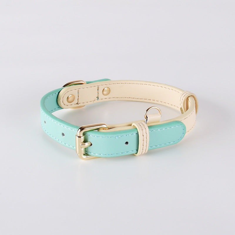 Venus Series Genuine Leather Dog Collar