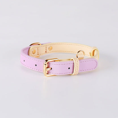 Venus Series Genuine Leather Dog Collar